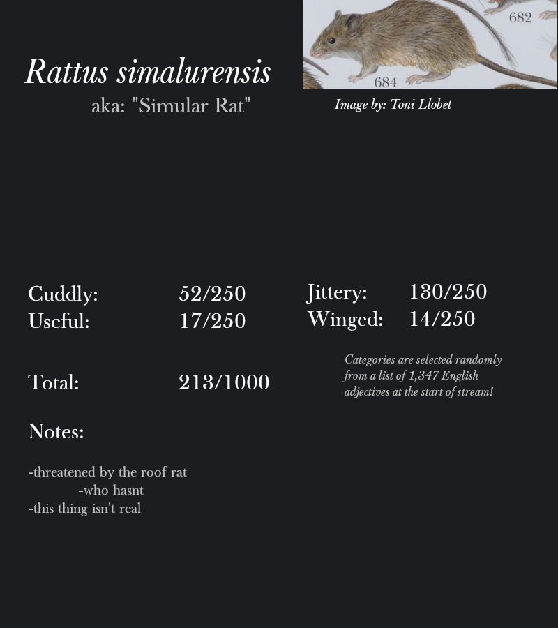 Rattus simalurensis